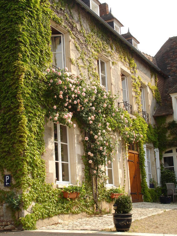 Le Relais Du Lyon D'Or Hotel Angles-sur-l'Anglin Exterior photo