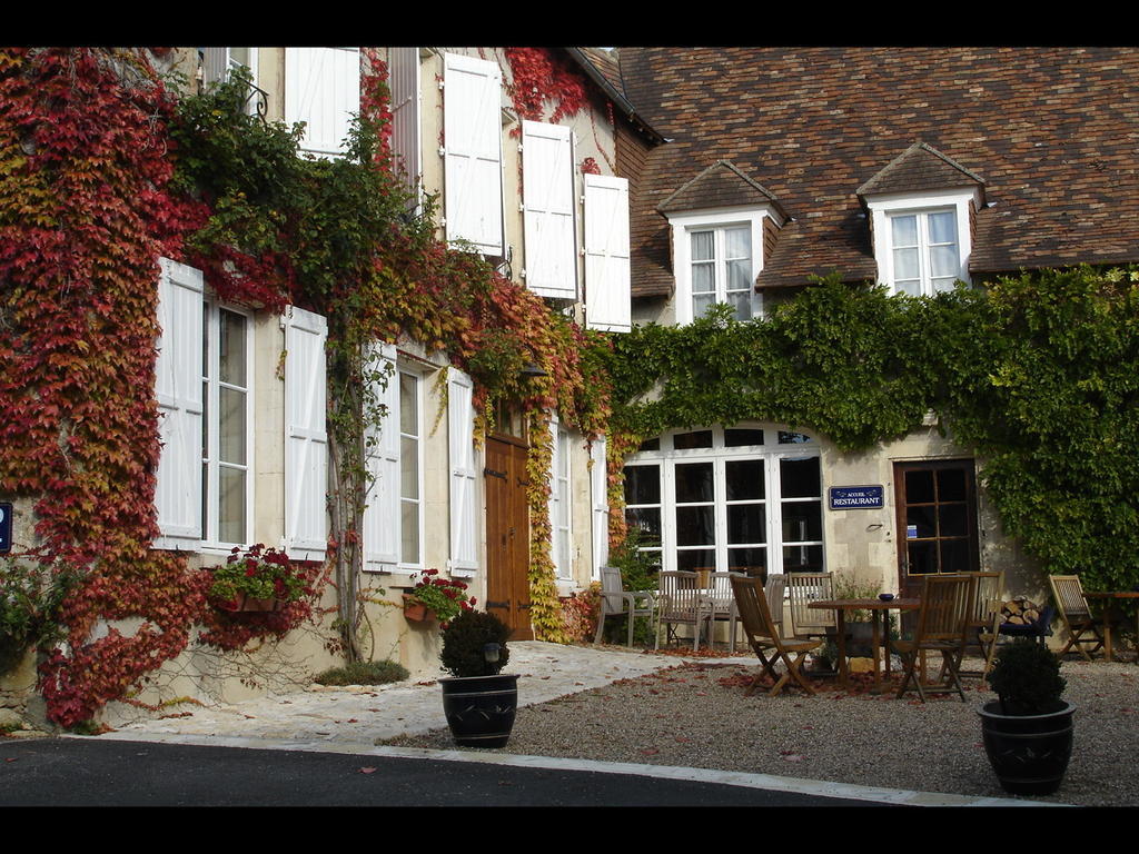 Le Relais Du Lyon D'Or Hotel Angles-sur-l'Anglin Exterior photo